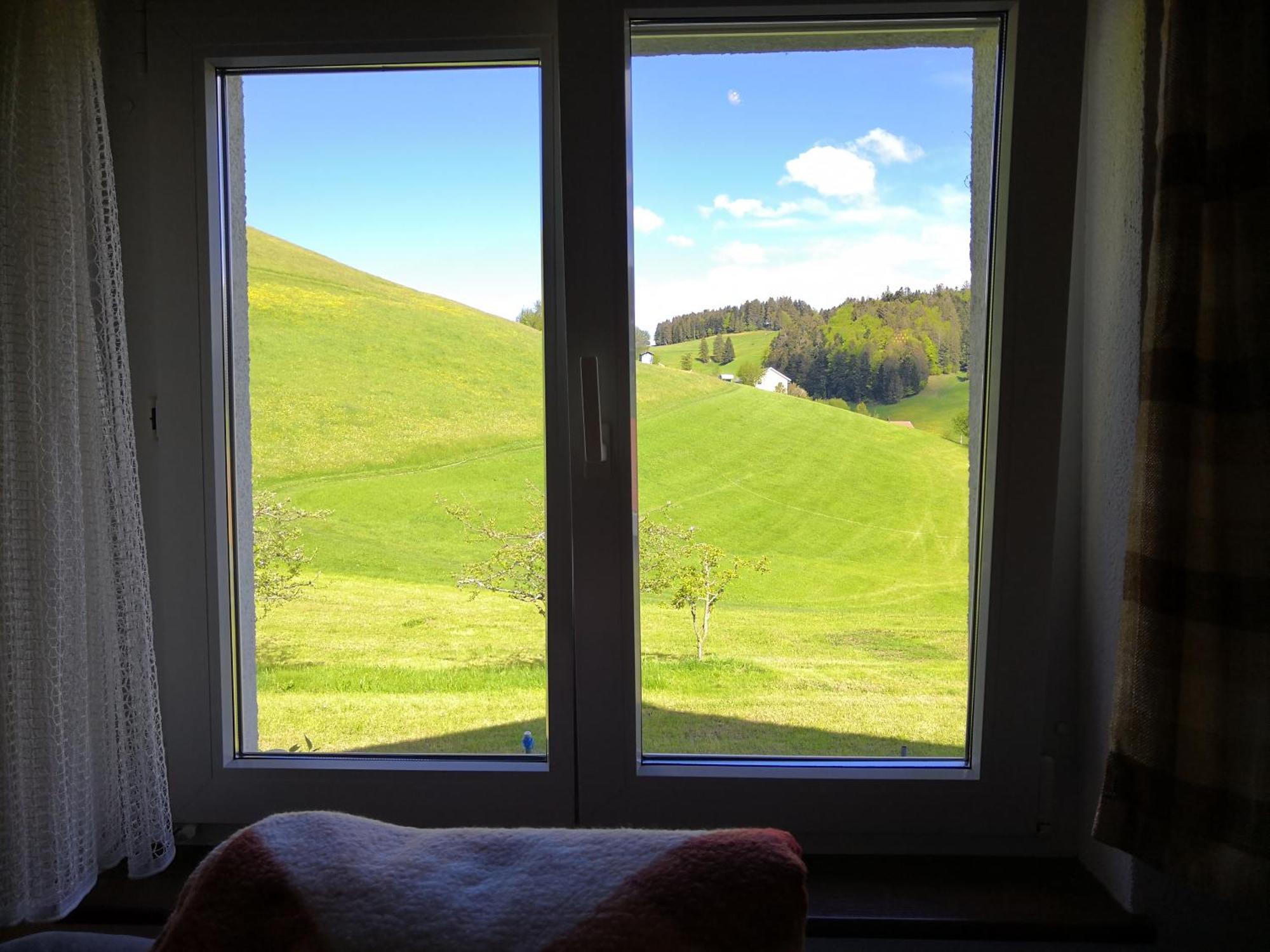 Apartment Am Birkenweg Walde Экстерьер фото
